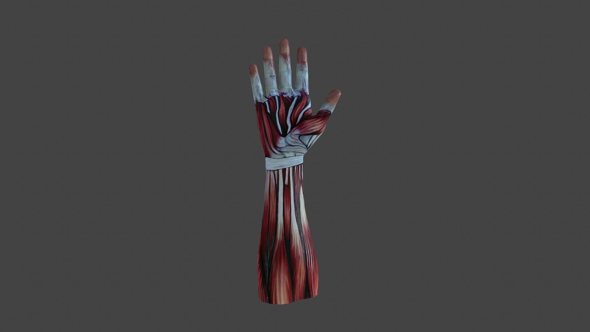 HAND-020 Right Hand Low-poly 3D model_2
