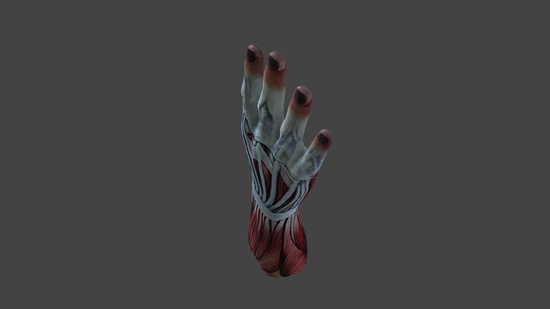 HAND-020 Right Hand Low-poly 3D model_5