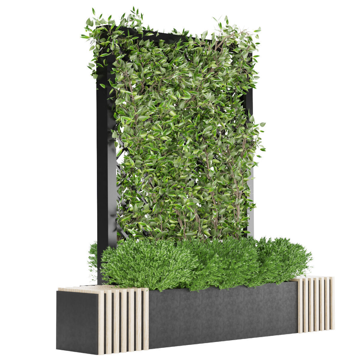 Collection plant vol 16 3D model_1