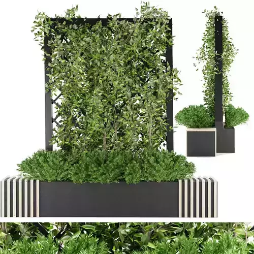 Collection plant vol 16 3D model