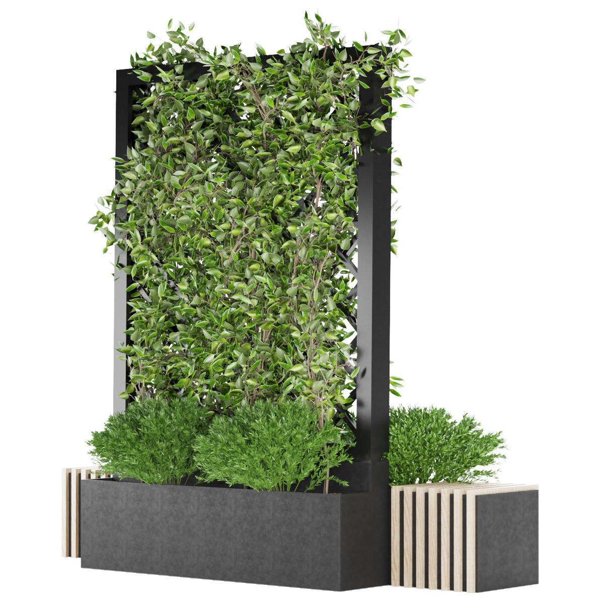 Collection plant vol 16 3D model_2