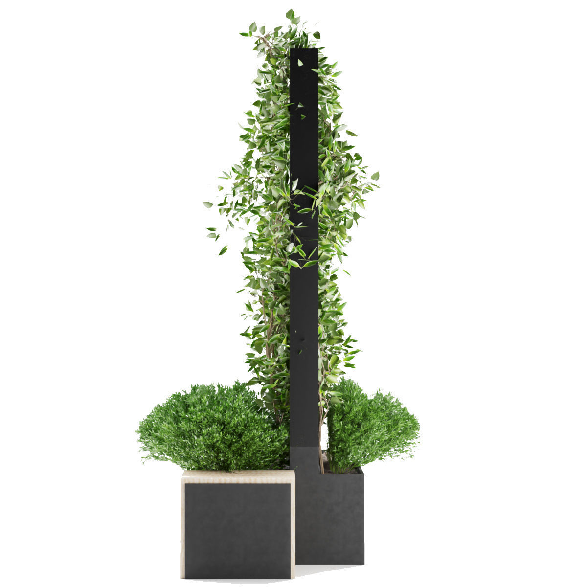 Collection plant vol 16 3D model_3