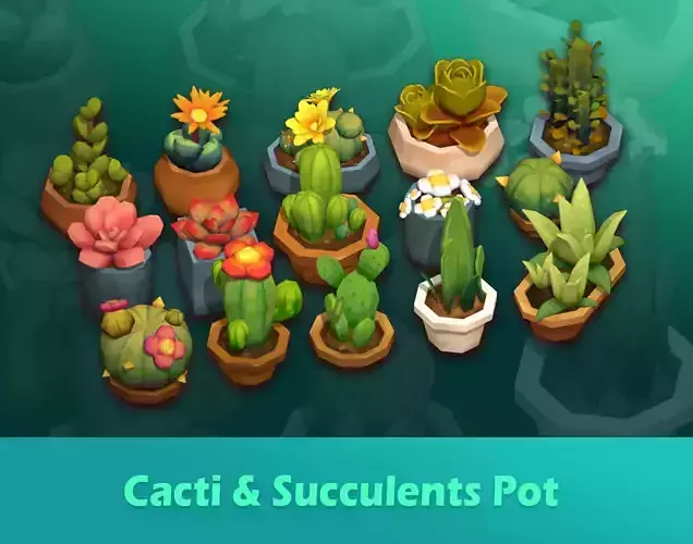 Cacti and Succulents Pots