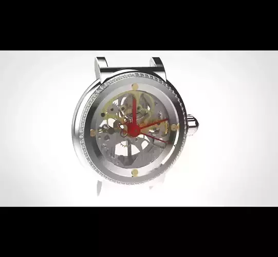 watch case