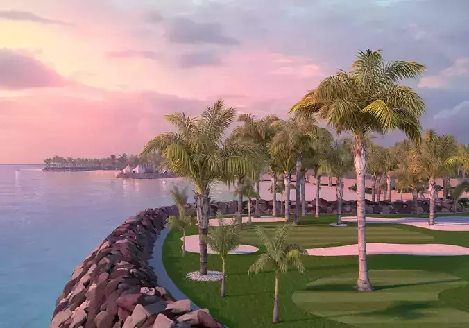 queen palm mature A 3D model