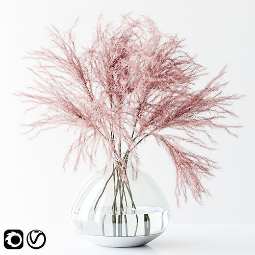Pink Pampas 3D model