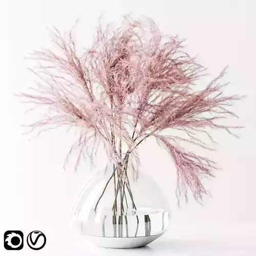 Pink Pampas 3D model