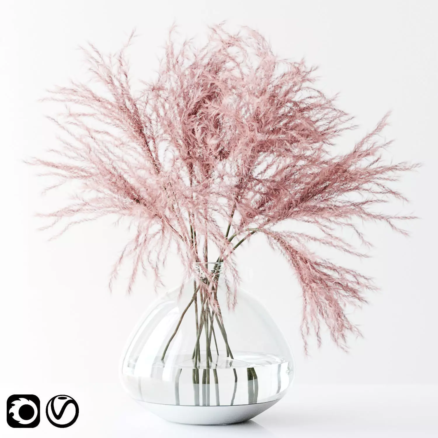 Pink Pampas 3D model