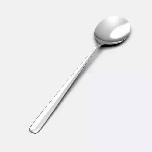 Asian Spoon