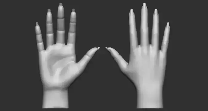 female palm 3D model