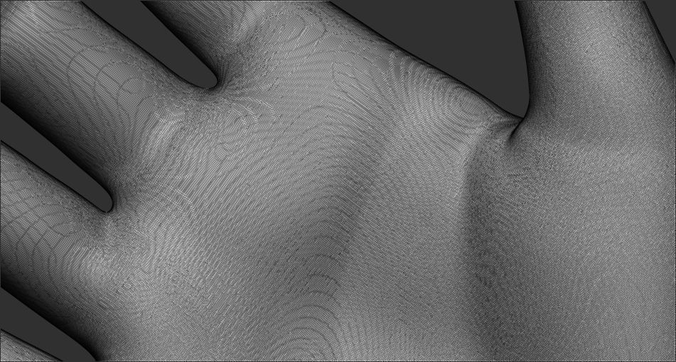 female palm 3D model_4