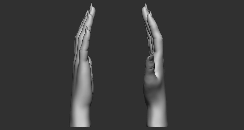 female palm 3D model_1