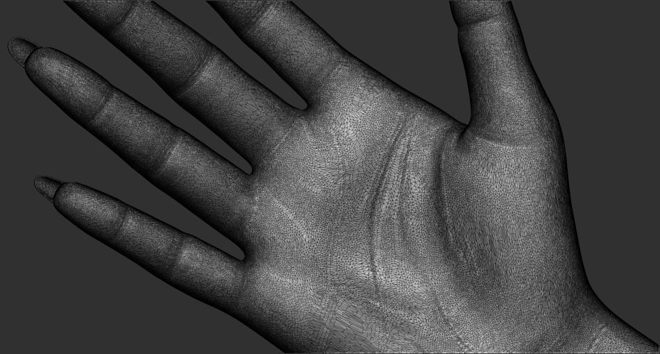 female palm 3D model_5