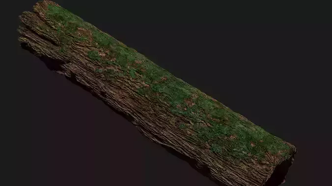 3d Hollow Bark