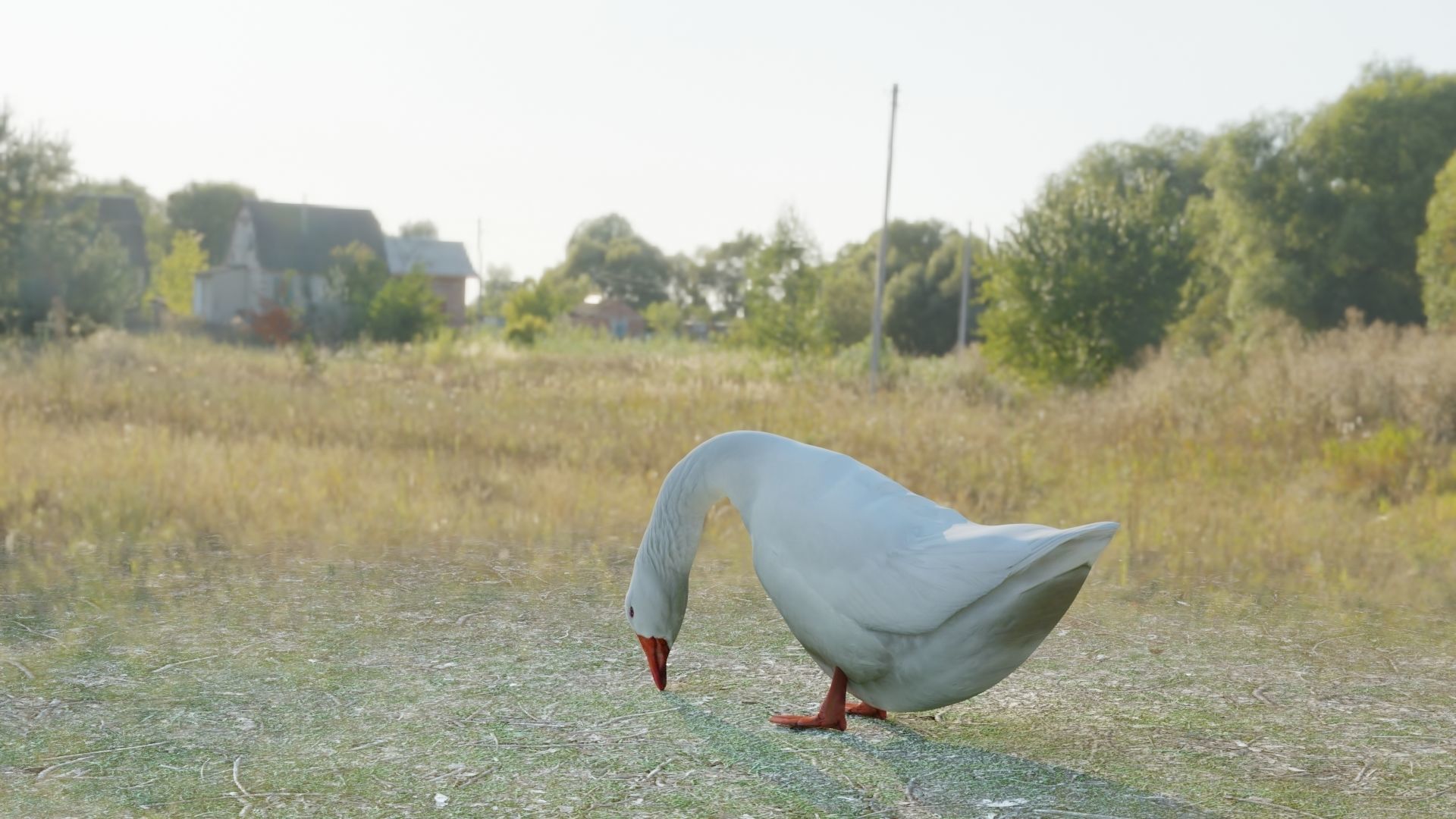 Goose two geese Low-poly 3D model_4