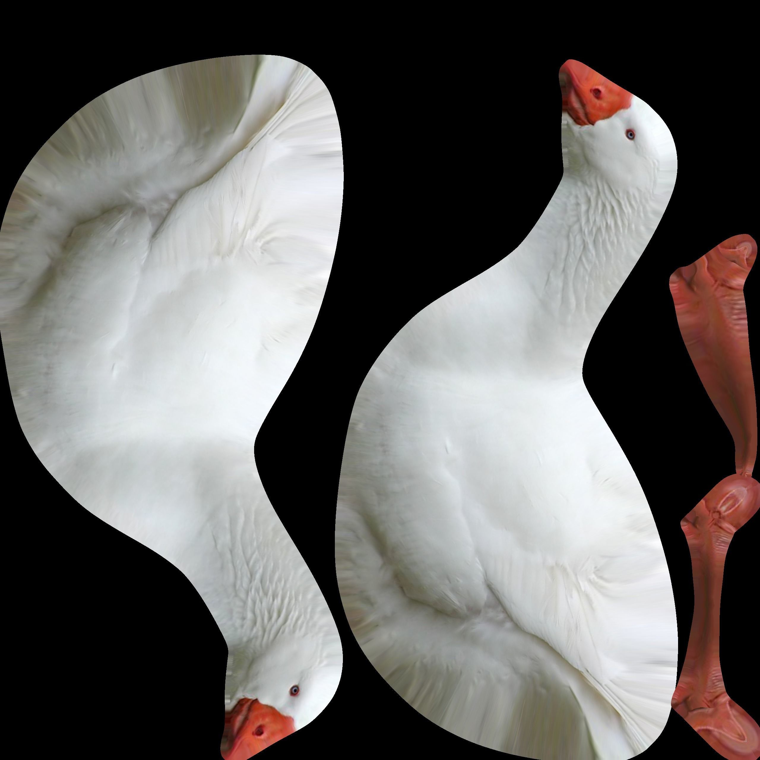 Goose two geese Low-poly 3D model_5