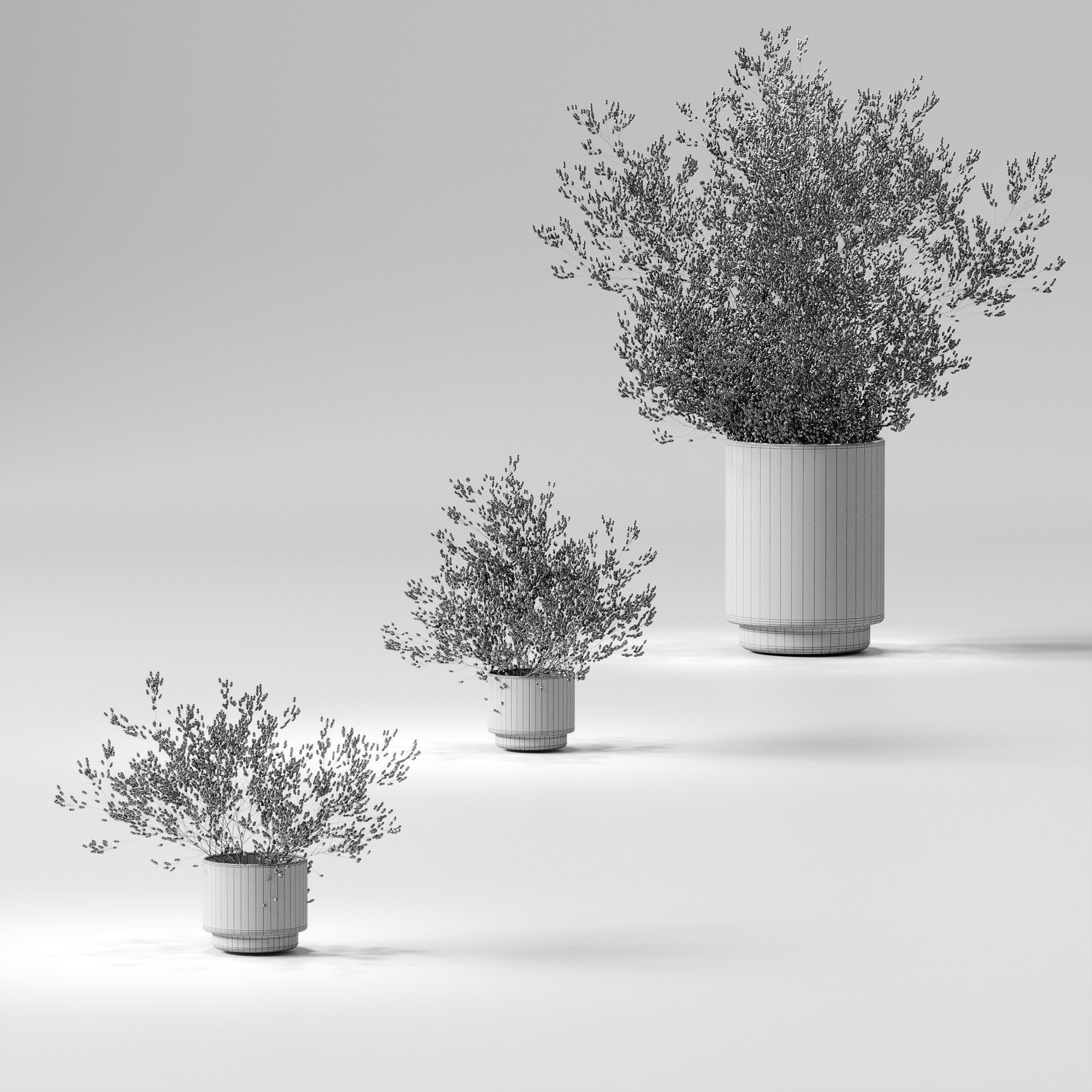 Dry plants set - 3 models 3D model_2