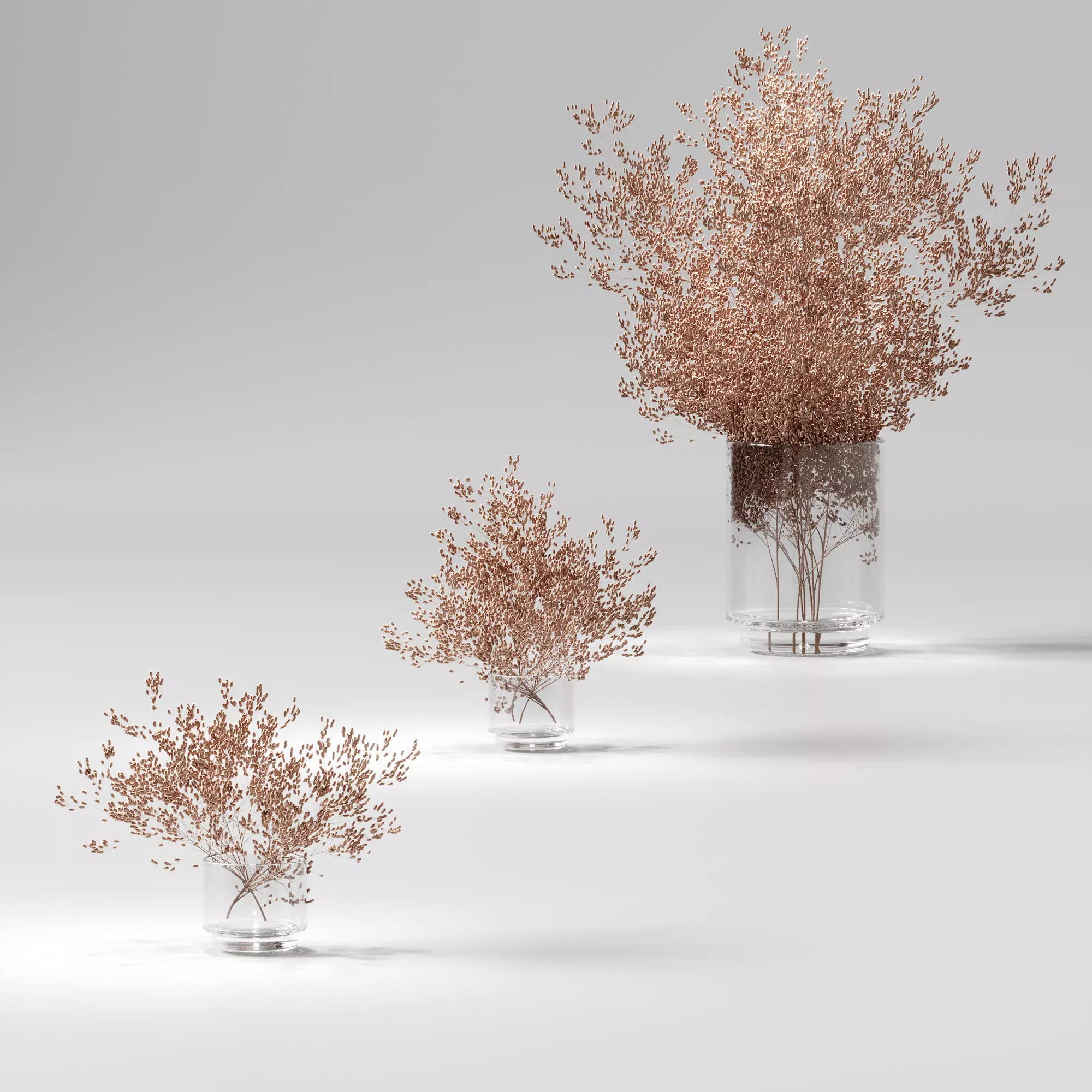 Dry plants set - 3 models 3D model_0