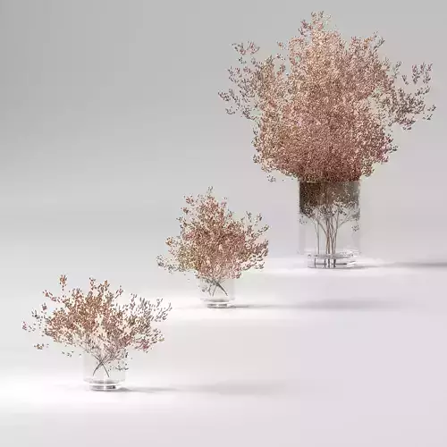 Dry plants set - 3 models