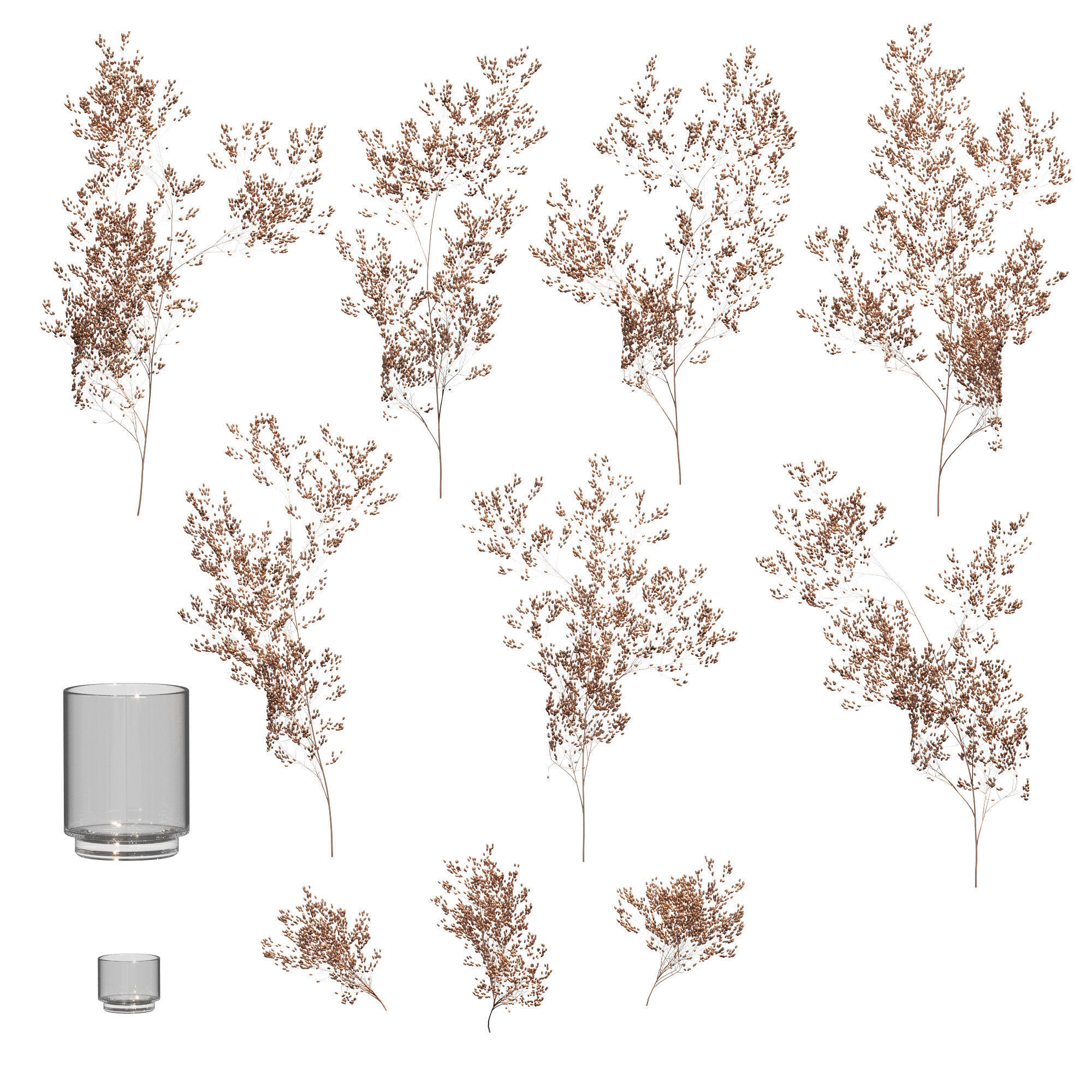 Dry plants set - 3 models 3D model_1