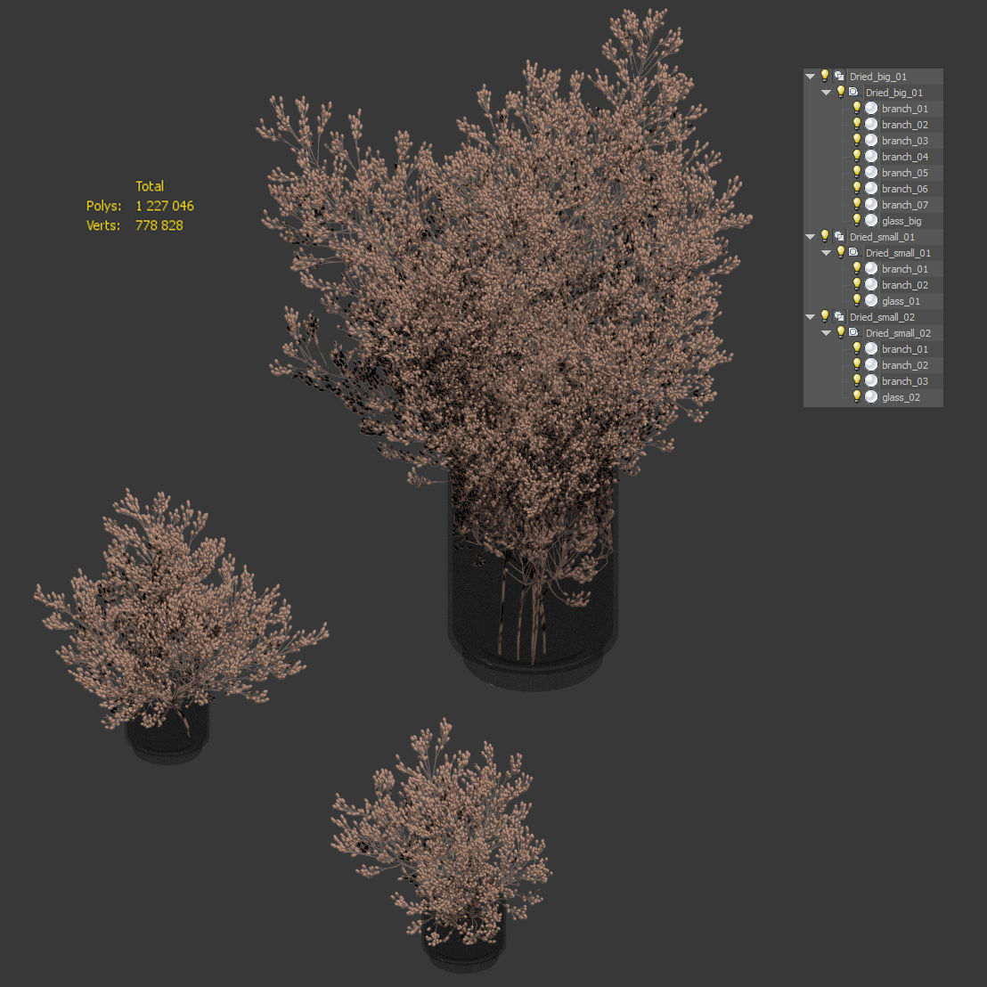 Dry plants set - 3 models 3D model_3