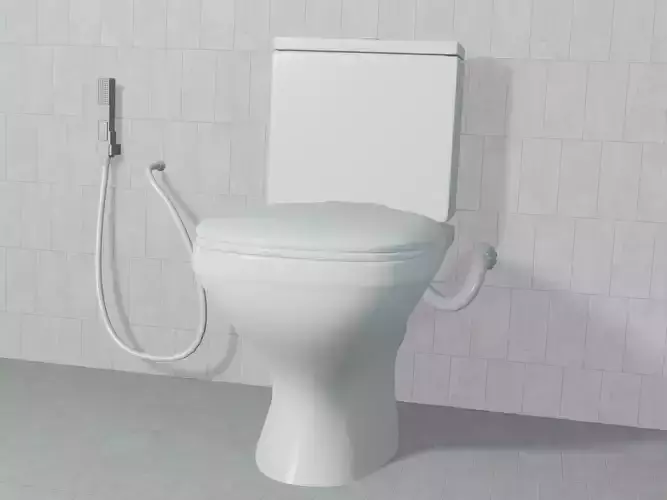 3D Toilet with hand held shower