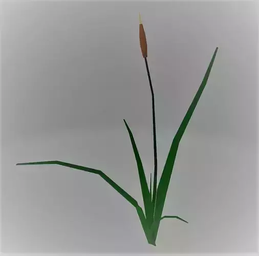 LowPoly Reeds cattail plant