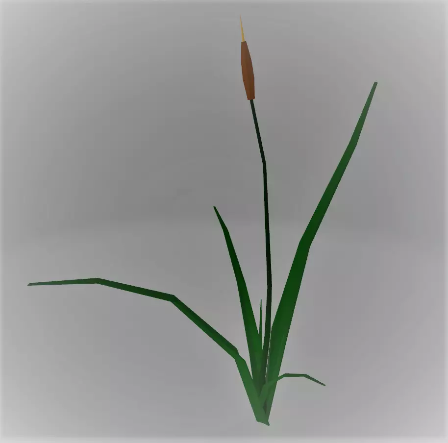 LowPoly Reeds cattail plant Free low-poly 3D model