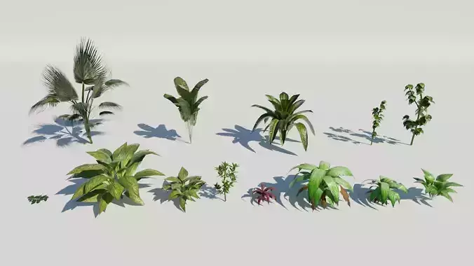 Tropical Plants Pack