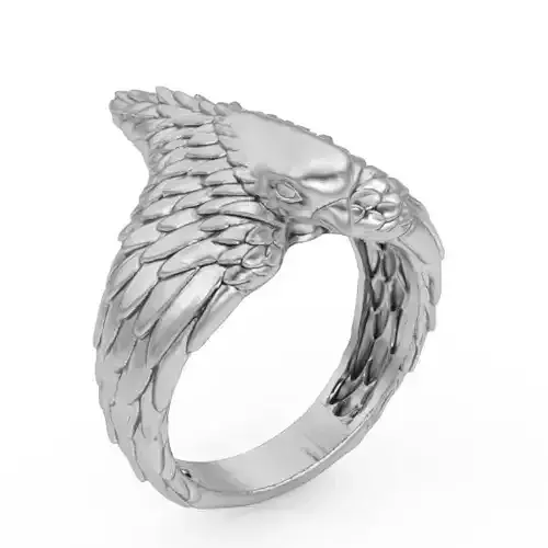 Bird ring Silver Gold  Print