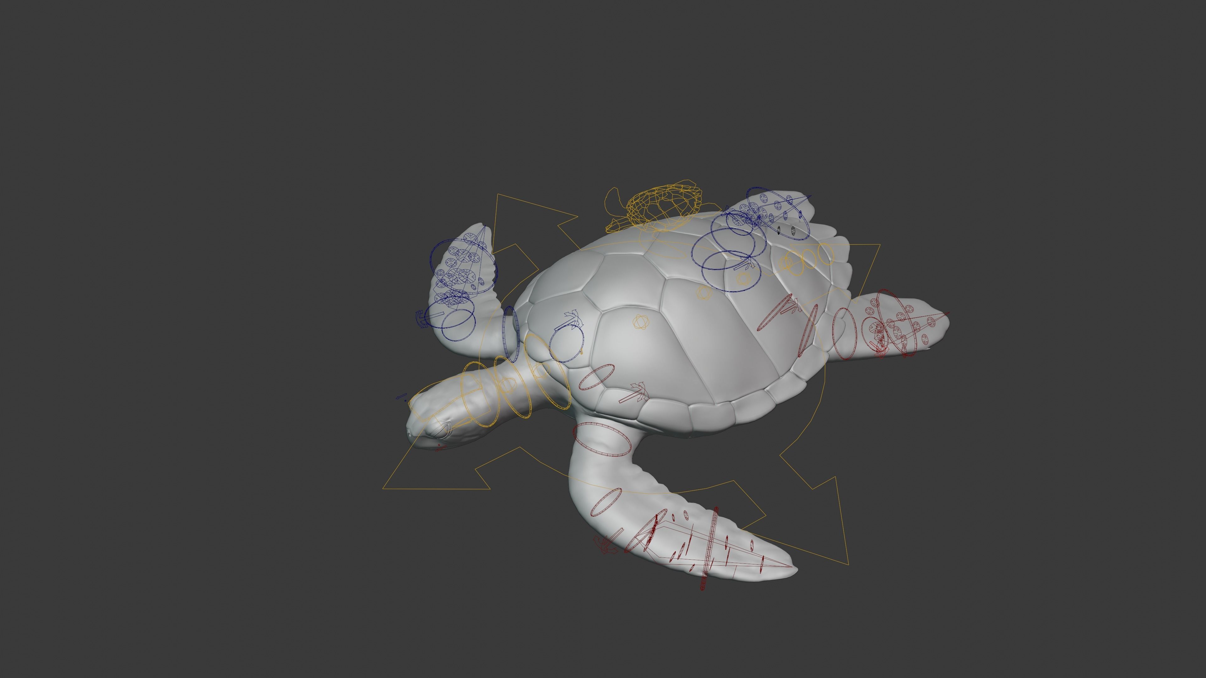 Green Sea Turtle Animated 3D model_17