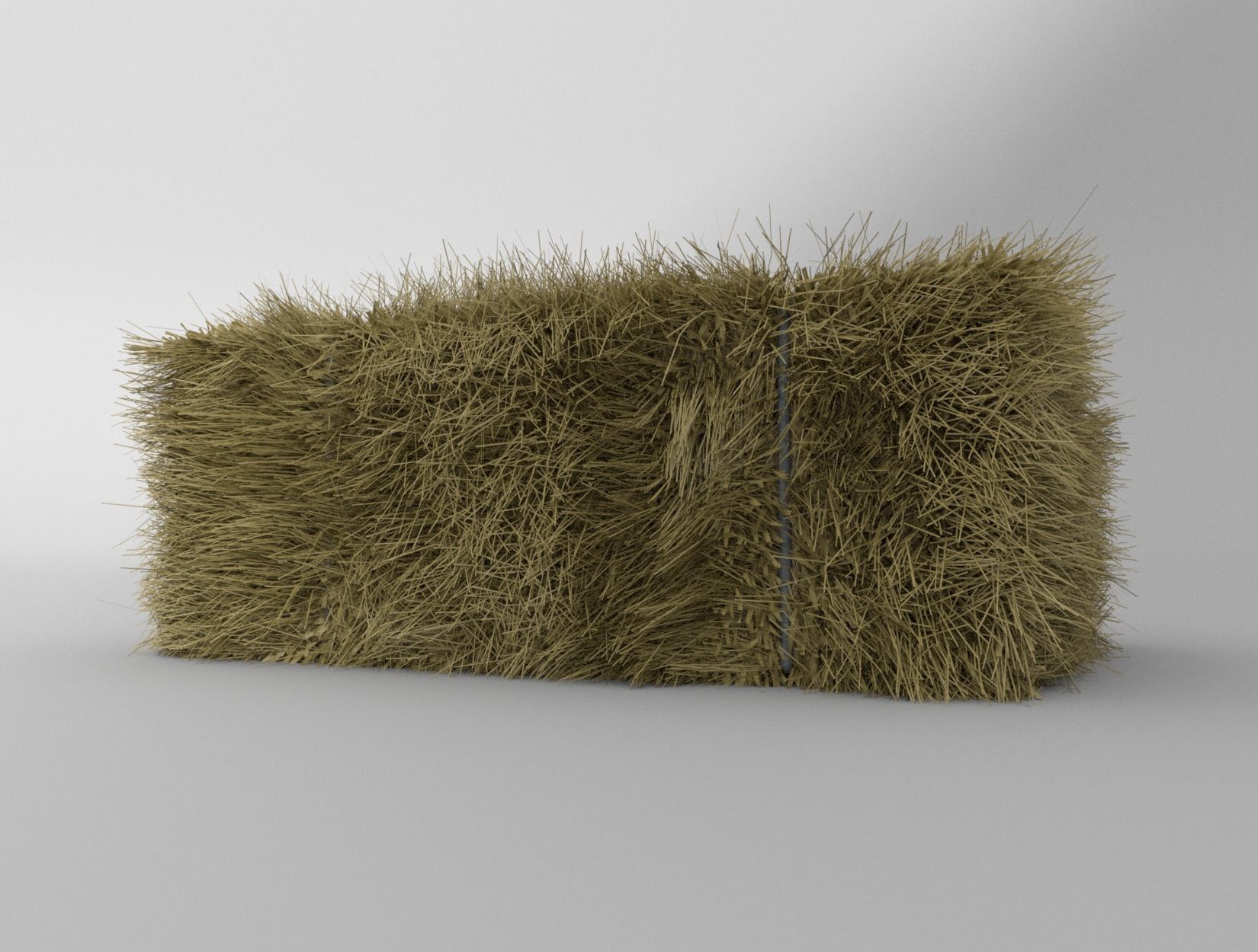 HAY BALE 3D model_6