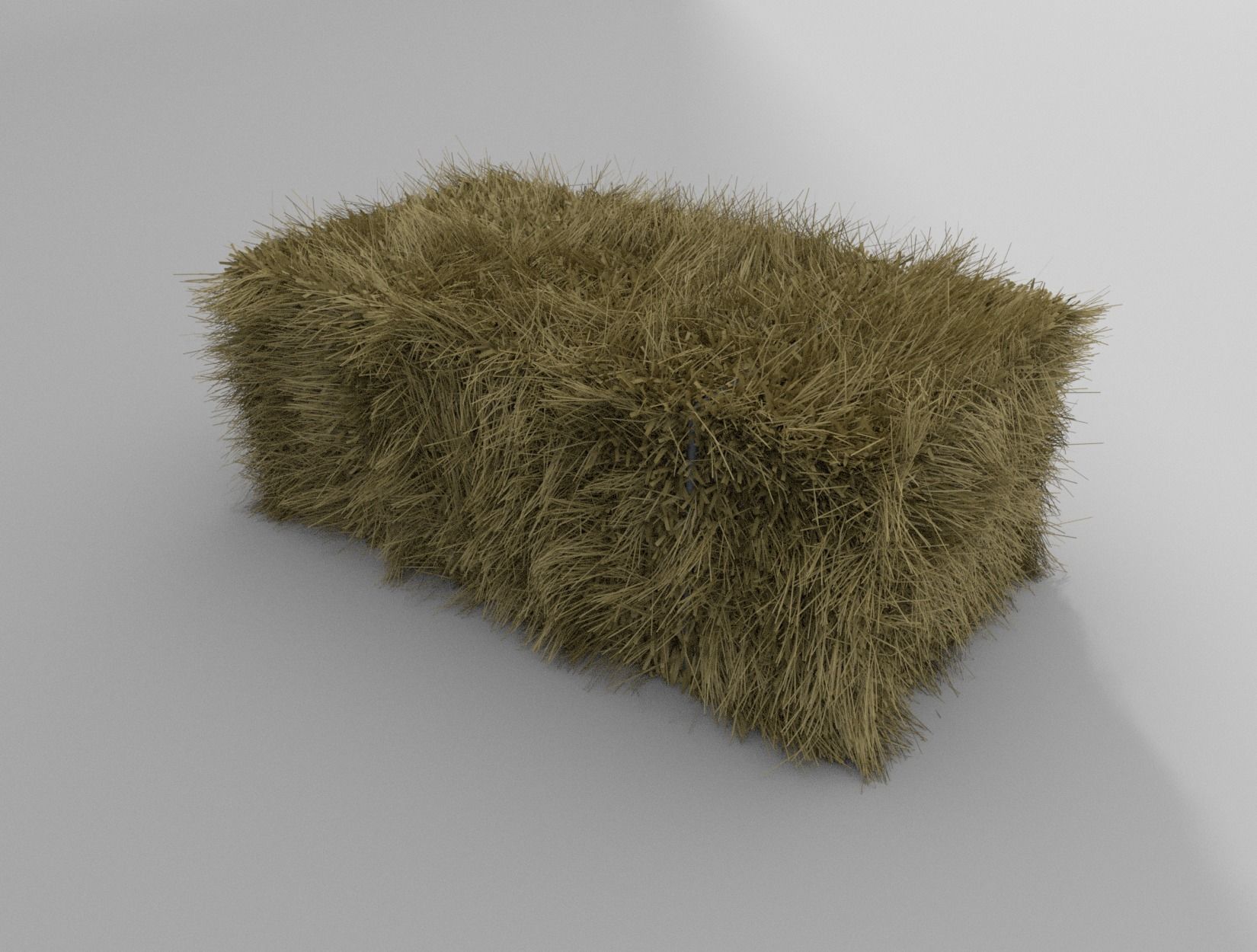 HAY BALE 3D model_5