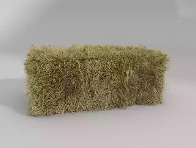 HAY BALE 3D model