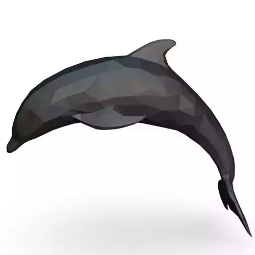 dolphin low poly polygonal