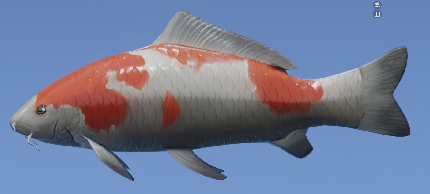 Koi Fish Lowpoly Animated Rigged Low-poly 3D model_2