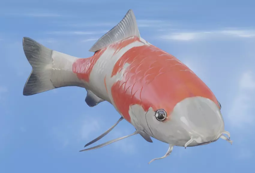 Koi Fish Lowpoly Animated Rigged Low-poly 3D model_0