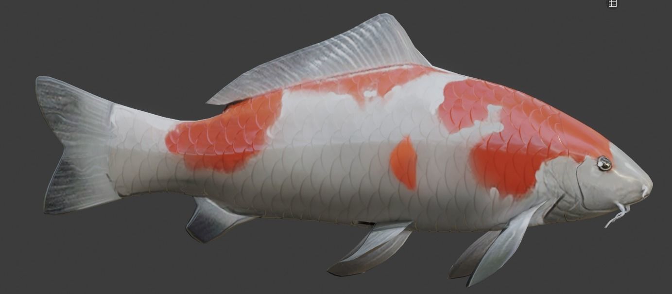 Koi Fish Lowpoly Animated Rigged Low-poly 3D model_3