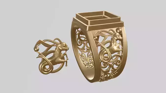 Capricorn zodiac sign