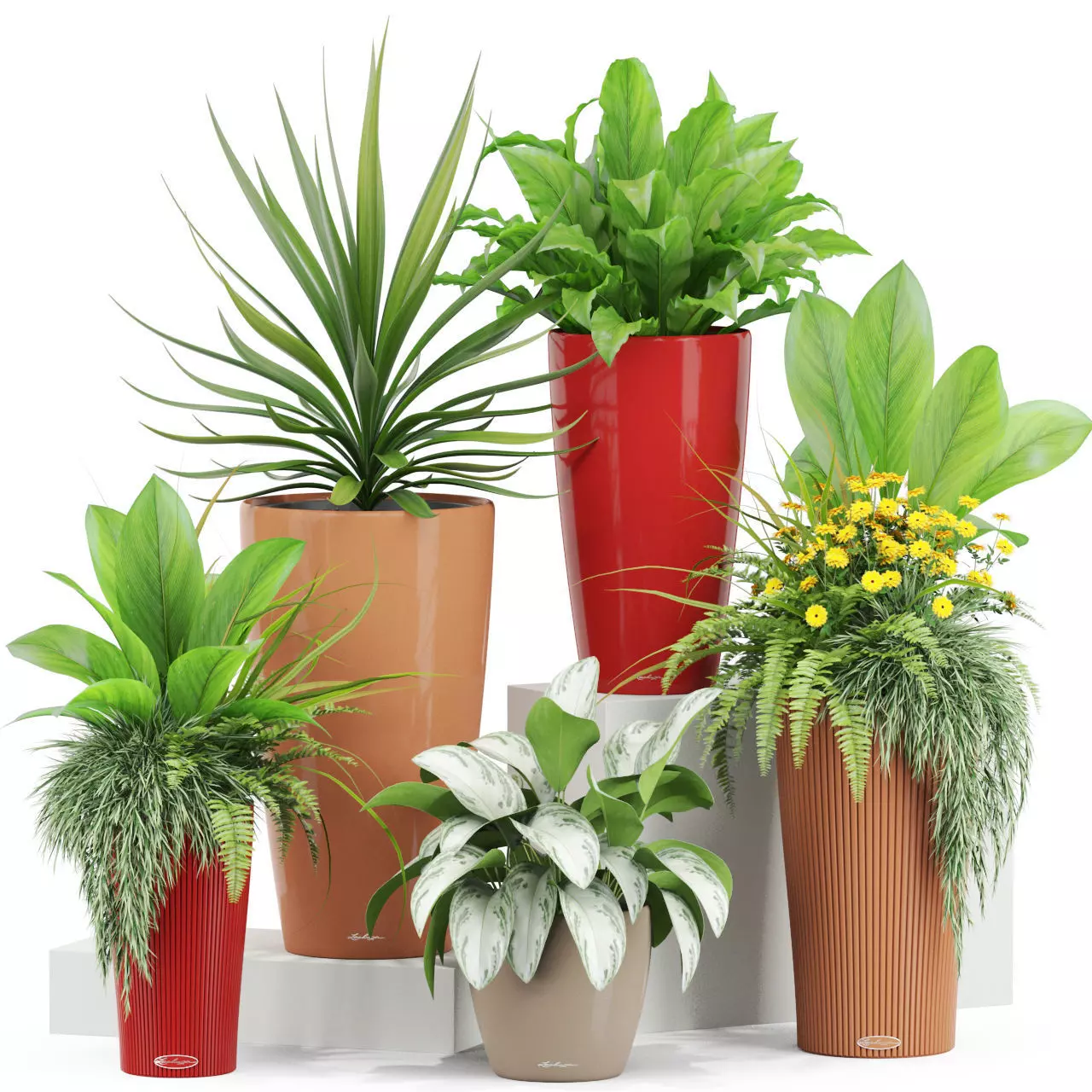 Plants collection 436 3D model