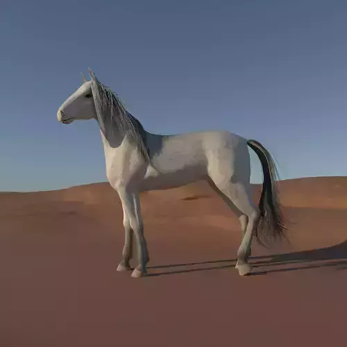 Pack of 3 horse breeds  3D model