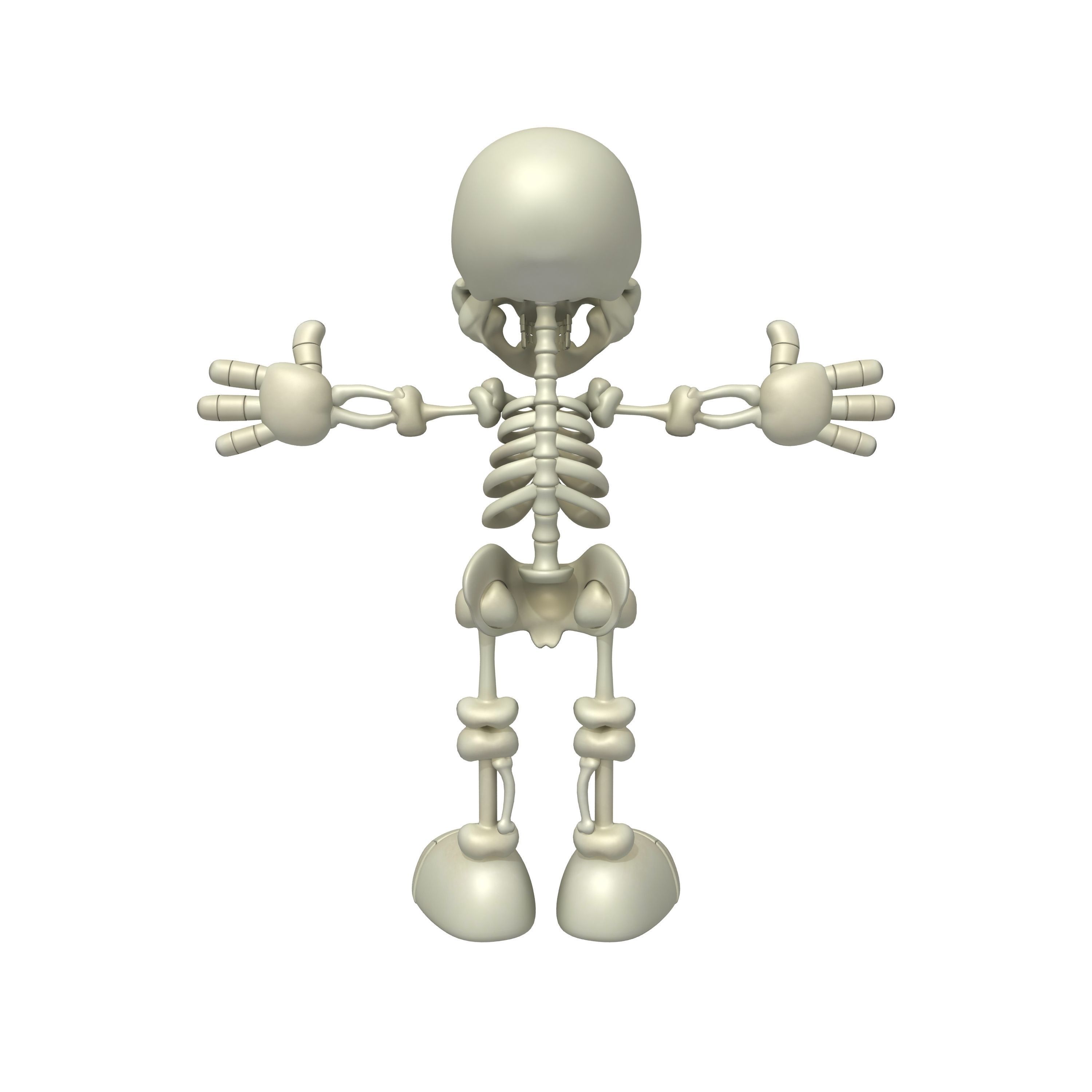 Skeleton Cartoon 3D model_4
