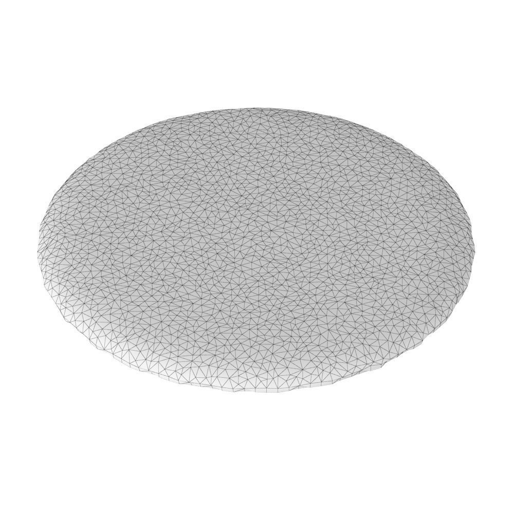 Round White Rug 3D model_5