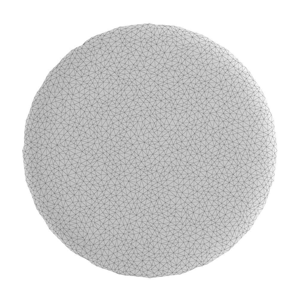 Round White Rug 3D model_4