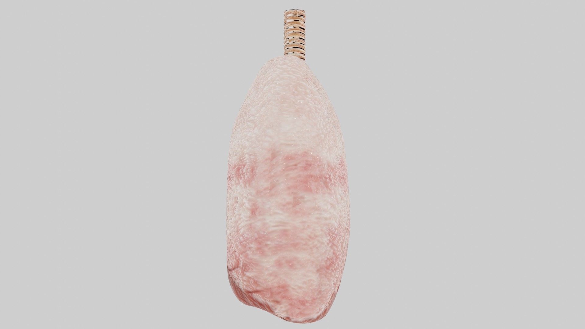 Human lungs fully rigged low poly 2 Low-poly 3D model_4