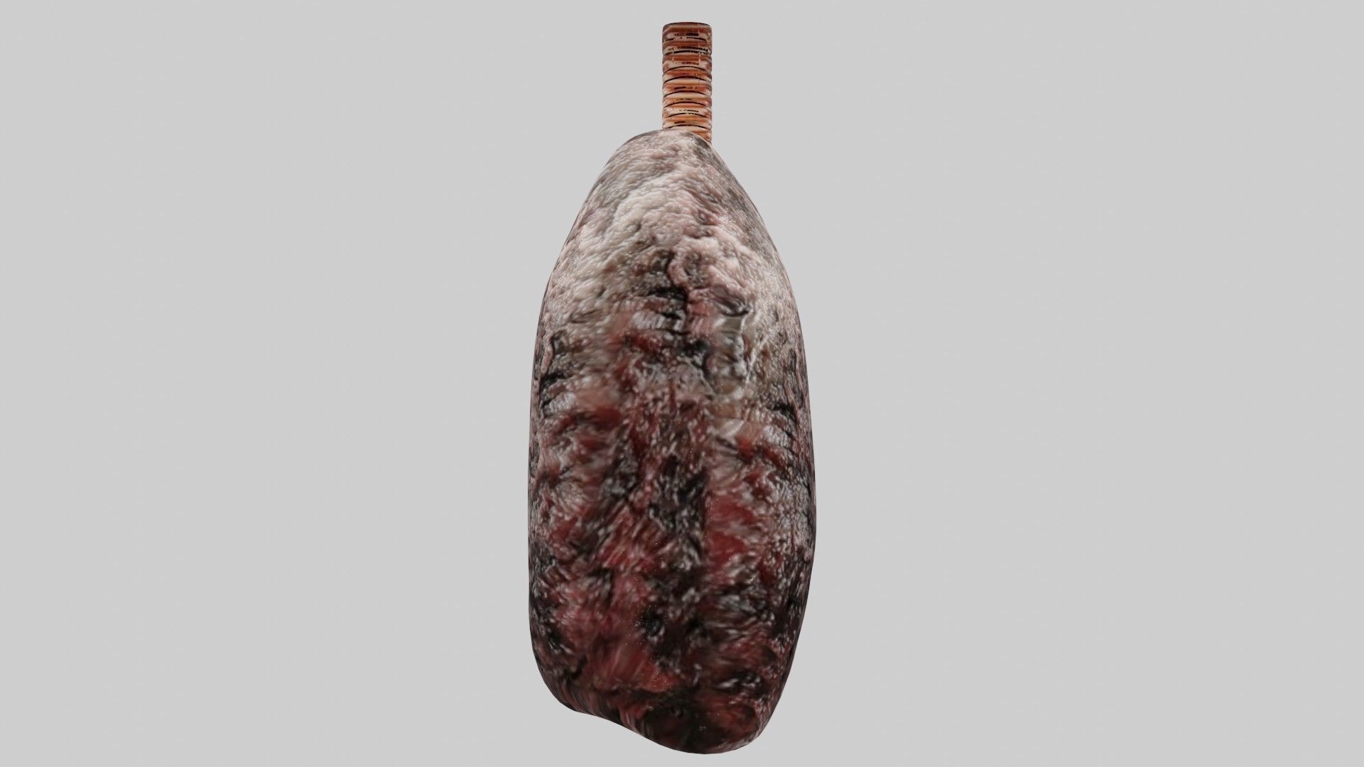 Smoker Human lungs fully rigged low poly 3 Low-poly 3D model_4