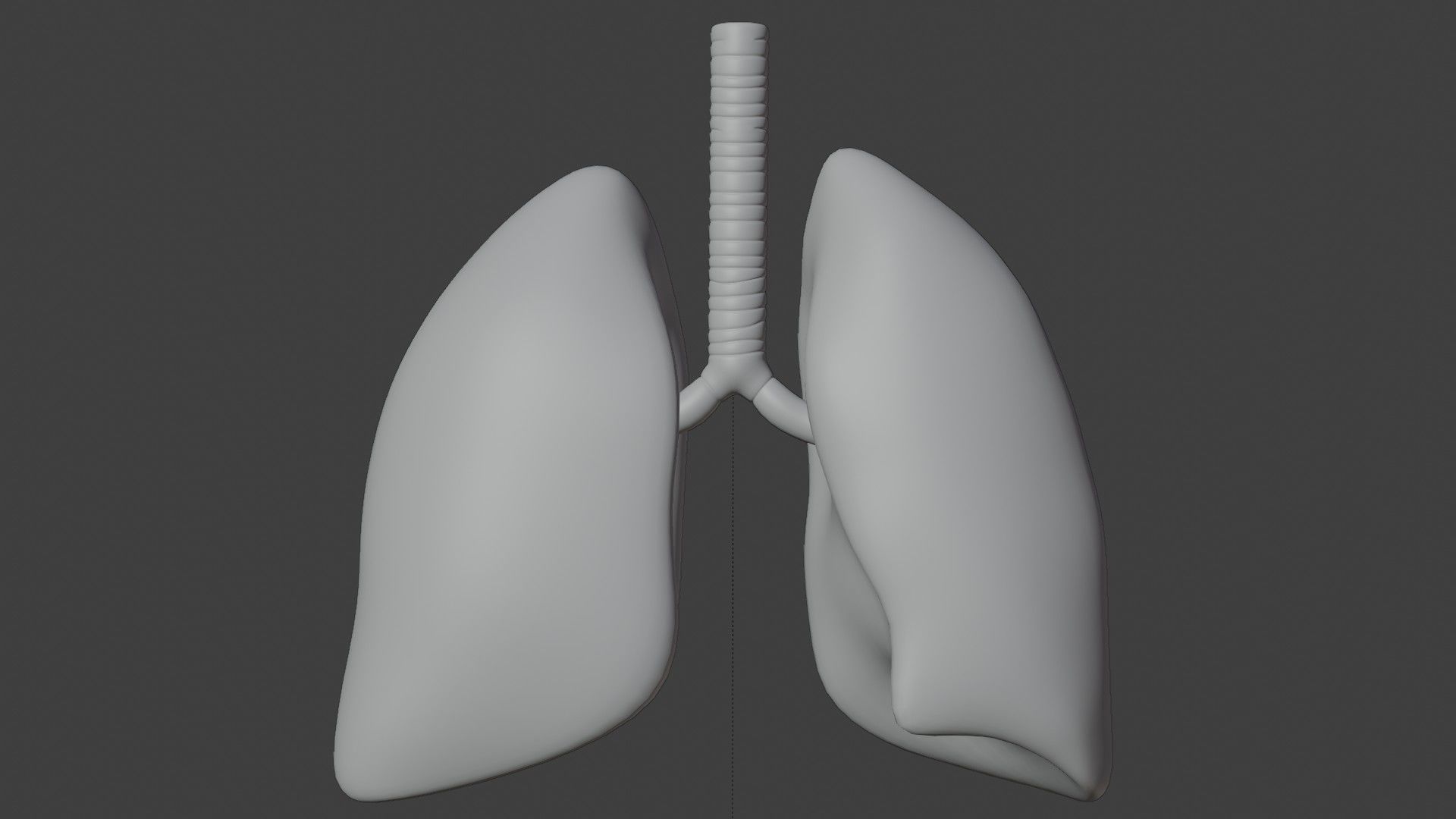 Smoker Human lungs fully rigged low poly 3 Low-poly 3D model_6