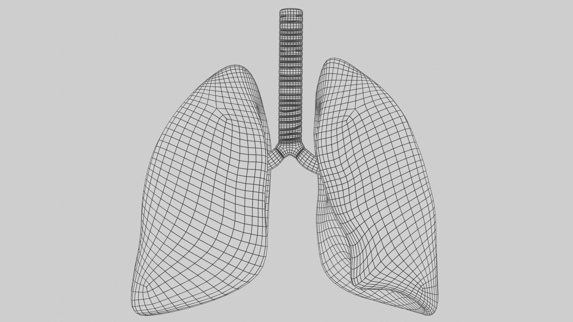 Smoker and non smoker human lungs Low-poly 3D model_9