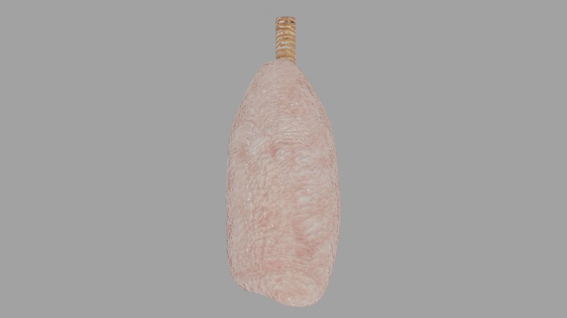 Smoker and non smoker human lungs Low-poly 3D model_4