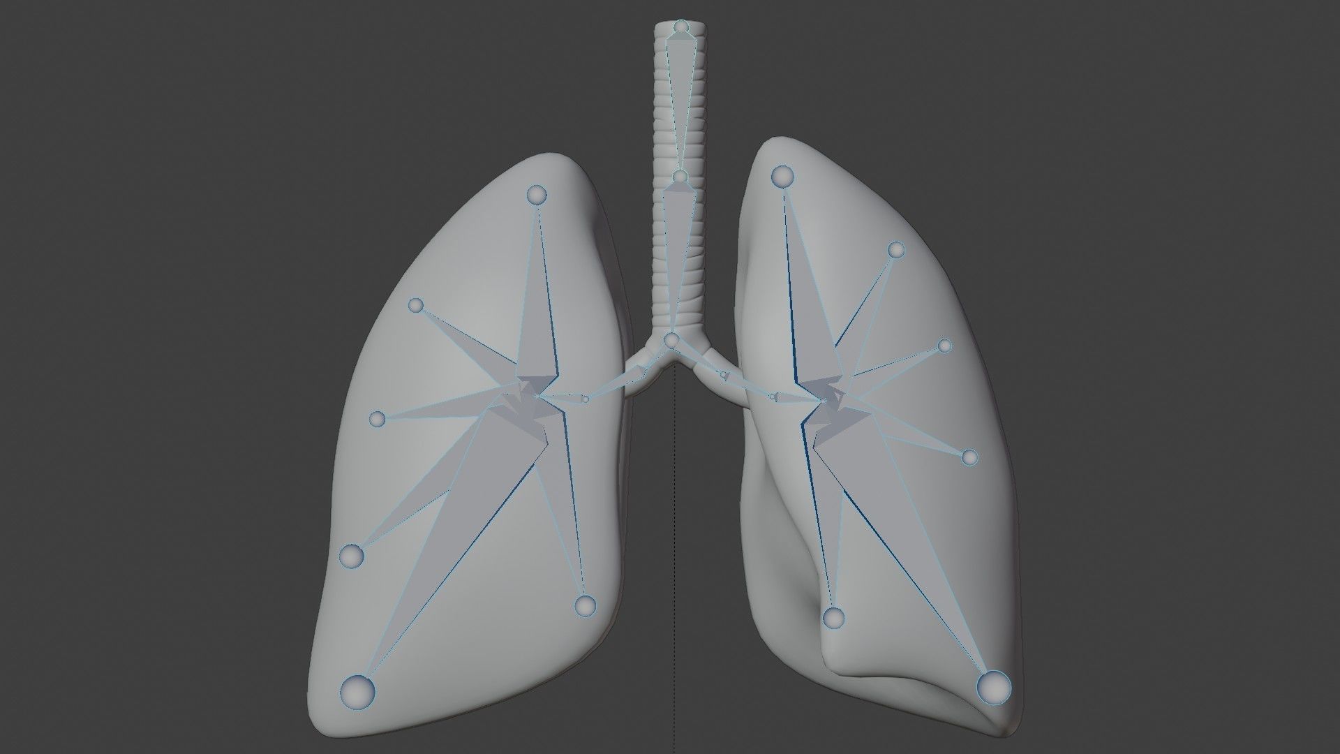 Smoker and non smoker human lungs Low-poly 3D model_8